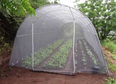 A greenhouse made of plastic insect screen on the land.