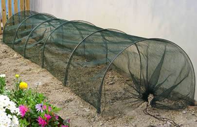 A small protective screen made of plastic window screen on the land.